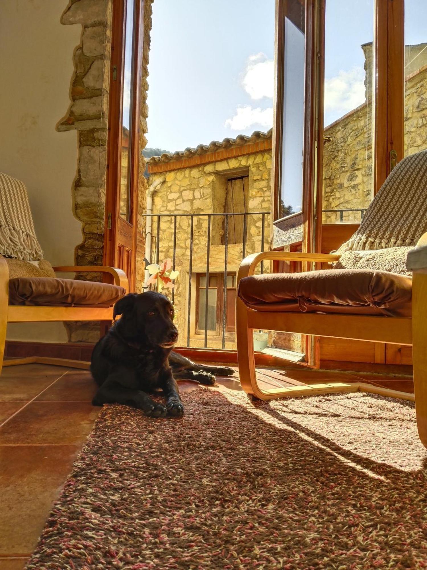 El Refugi Hostel Arboli ภายนอก รูปภาพ